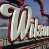 Dimensionsl high density urethane letters - Wilson Sprinkler